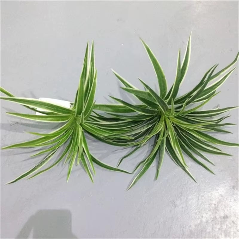 Artificial Plastic Plants Chlorophytum Branch Home Decorative Fake Plants Indoor Potted Table Decoration NO Pot