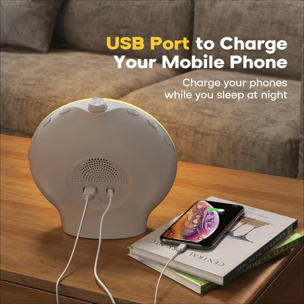 Wake up Light Alarm Clock Sunrise/Sunset Simulation Digital Clock with Night Light FM Radio Desk Clocks